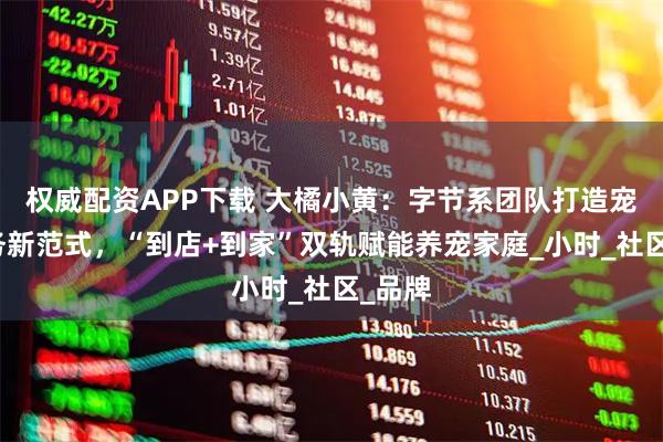 权威配资APP下载 大橘小黄:字节系团队打造宠物服务新范式,“到店+到家”双轨赋能养宠家庭_小时_社区_品牌