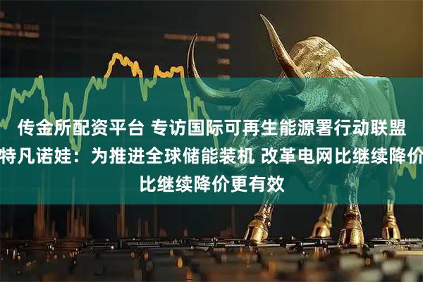 传金所配资平台 专访国际可再生能源署行动联盟主任斯特凡诺娃：为推进全球储能装机 改革电网比继续降价更有效