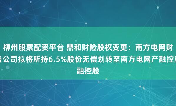 柳州股票配资平台 鼎和财险股权变更：南方电网财务公司拟将所持6.5%股份无偿划转至南方电网产融控股