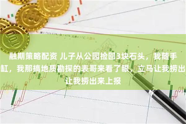 融期策略配资 儿子从公园捡回3块石头，我随手扔进鱼缸，我那搞地质勘探的表哥来看了眼，立马让我捞出来上报