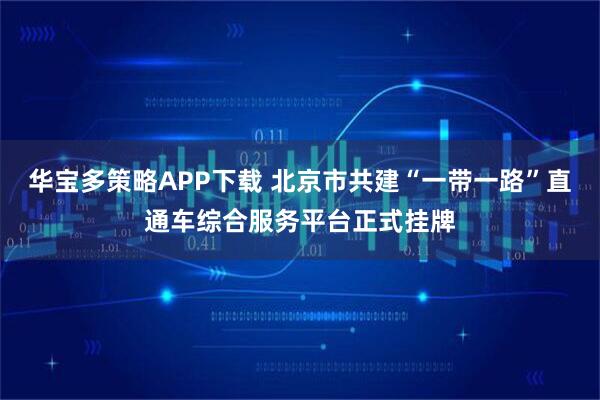 华宝多策略APP下载 北京市共建“一带一路”直通车综合服务平台正式挂牌